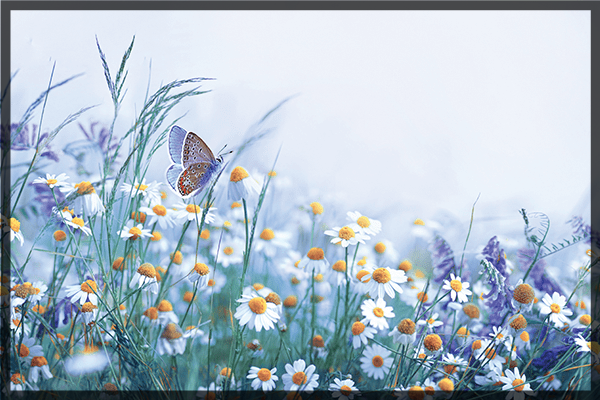 Slika na platnu Luma shop